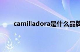 camilladora是什么品牌（Camilla 澳大利亚品牌）