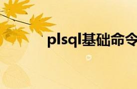 plsql基础命令（PL/SQL基础）