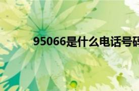 95066是什么电话号码（95066是什么电话？）