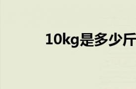 10kg是多少斤（2kg是多少斤）