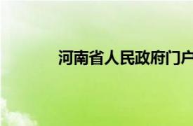 河南省人民政府门户网站互联网加督察平台
