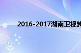 2016-2017湖南卫视跨年演唱会王一博有表演吗