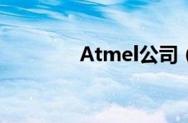 Atmel公司（ATMEL公司）