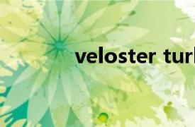 veloster turbo（Veloster）