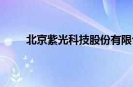 北京紫光科技股份有限公司（北京紫光电子公司）