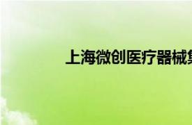 上海微创医疗器械集团有限公司营业执照