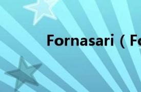 Fornasari（Fornasari-RR99）