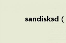 sandisksd（sandisk16GB）