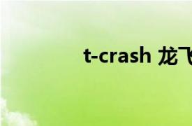 t-crash 龙飞（T-CRASH）