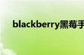 blackberry黑莓手机输密码数字怎么按