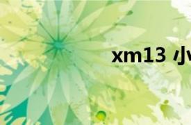 xm13 小猫（XM1）