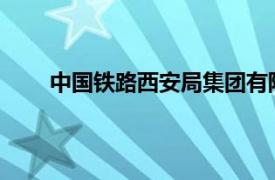 中国铁路西安局集团有限公司西安高铁基础设施段