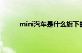 mini汽车是什么旗下的品牌（MINI 汽车品牌）