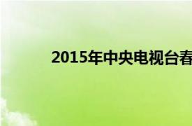2015年中央电视台春节联欢晚会2014朱军版