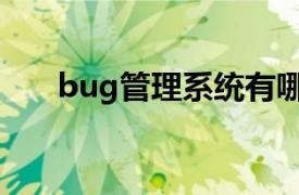bug管理系统有哪些（bug管理系统）