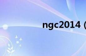 ngc2014（NGC 1999）