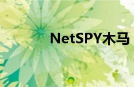 NetSPY木马（NetSPY木马）