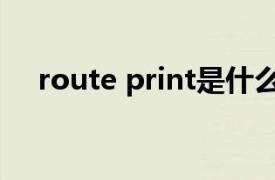 route print是什么意思（route print）