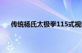 传统杨氏太极拳115式视频（传统杨氏太极拳115式）