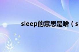 sleep的意思是啥（sleep的中文意思是什么）