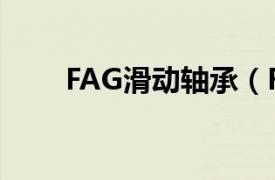 FAG滑动轴承（FAG圆锥滚子轴承）