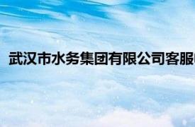武汉市水务集团有限公司客服电话（武汉市水务集团有限公司）
