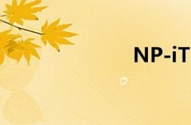 NP-iTECH公司