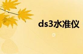 ds3水准仪（DS3注意力）
