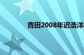 青田2008年迟浩洋导演动画相关内容介绍