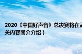 2020《中国好声音》总决赛将在武汉唱响（2013中国好声音武汉演唱会相关内容简介介绍）