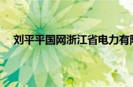刘平平国网浙江省电力有限公司湖州供电公司员工简介