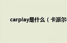 carplay是什么（卡派尔carplan相关内容简介介绍）