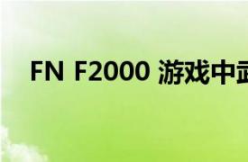 FN F2000 游戏中武器相关内容简介介绍