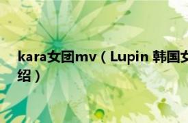 kara女团mv（Lupin 韩国女团KARA音乐专辑相关内容简介介绍）