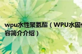 wpu水性聚氨酯（WPU水固化彩色环保型聚氨酯防水涂料相关内容简介介绍）