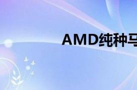 AMD纯种马相关内容介绍