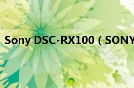 Sony DSC-RX100（SONY DSC-RX0相关内容简介介绍）