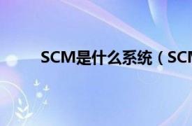 SCM是什么系统（SCM系统相关内容简介介绍）