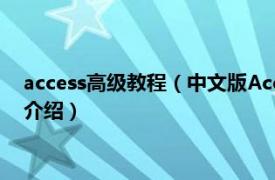 access高级教程（中文版Access2000入门与提高相关内容简介介绍）