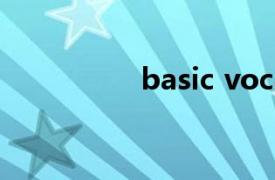 basic vocabulary定义