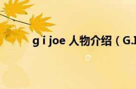 g i joe 人物介绍（G.I. Joe相关内容简介介绍）
