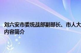 刘六安市委统战部副部长、市人大常委会人事代表选举委员会副主任的有关内容简介