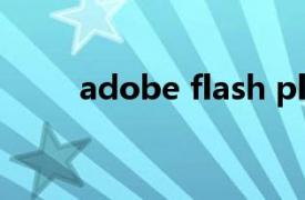 adobe flash player for ie是什么