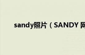 sandy照片（SANDY 网络红人相关内容简介介绍）