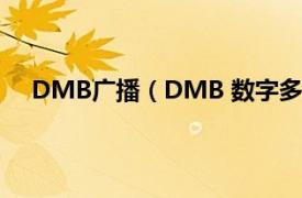 DMB广播（DMB 数字多媒体广播相关内容简介介绍）