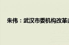 朱伟：武汉市委机构改革办公室一级参谋相关内容简介
