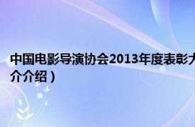 中国电影导演协会2013年度表彰大会（第3届中国电影导演协会相关内容简介介绍）