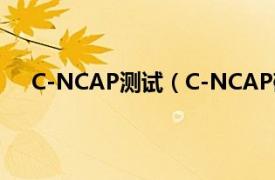 C-NCAP测试（C-NCAP碰撞测试相关内容简介介绍）