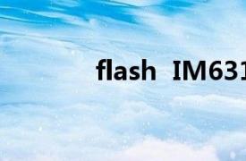 flash  IM6316相关内容介绍