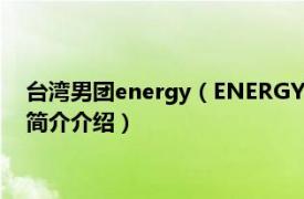 台湾男团energy（ENERGY 中国台湾流行乐男子组合相关内容简介介绍）